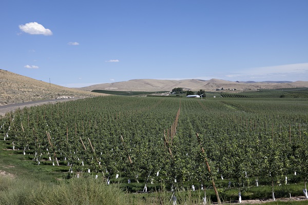 farm with house in distance